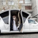 Why Most Highly Considered Wedding Cars Make perfect Wedding Transport